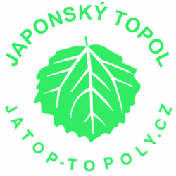 Japonský topol řízek máčený 30cm jaro 2020